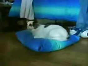 Poebat业余色情色情明星生活的女孩坐在前面的男孩