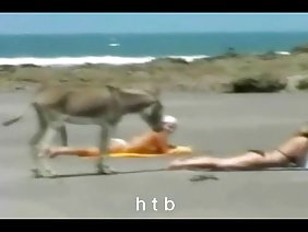 房间里打破了两个色情网站的渠道，伙计们与色情业余看到