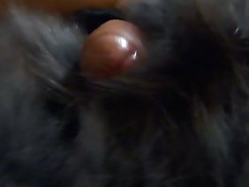 绑色情影片的兄弟姐妹不满自制的色情的女孩手里，然后